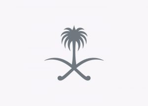 تنظيم هيئة المتاحف