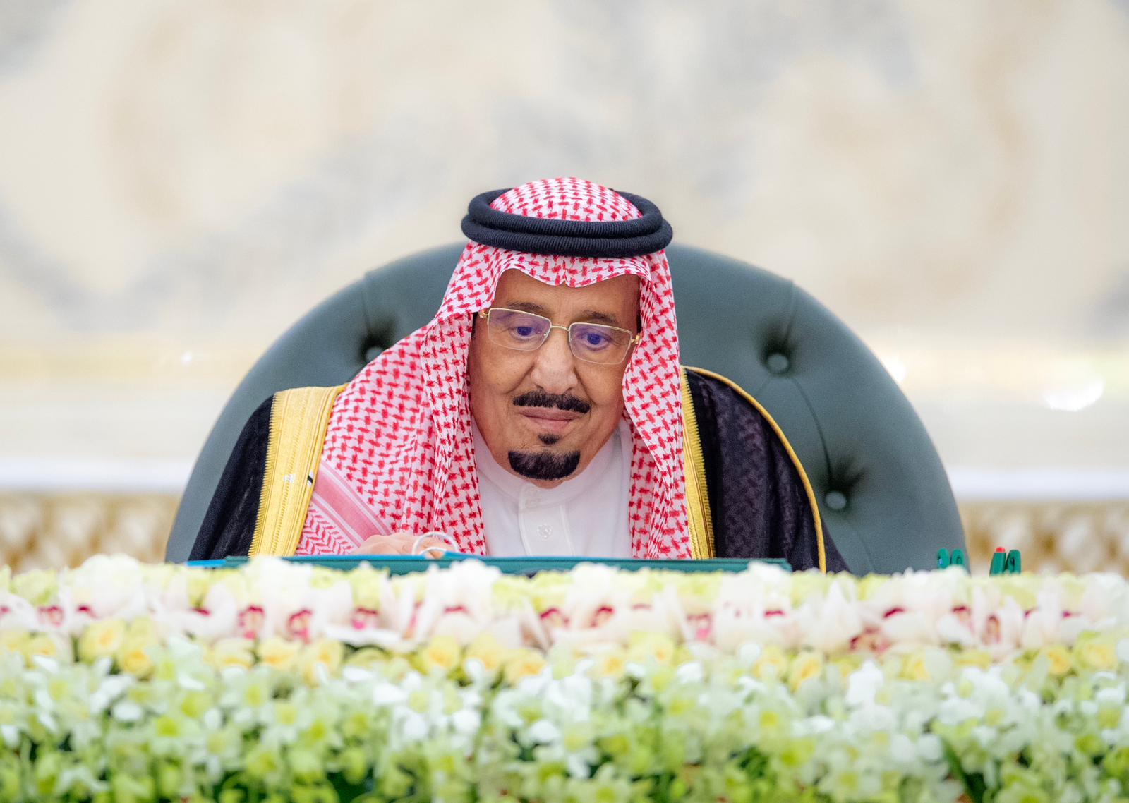 مجلس الوزراء: انضمام المملكة العربية السعودية إلى مبادرة الحشائش البحرية 2030