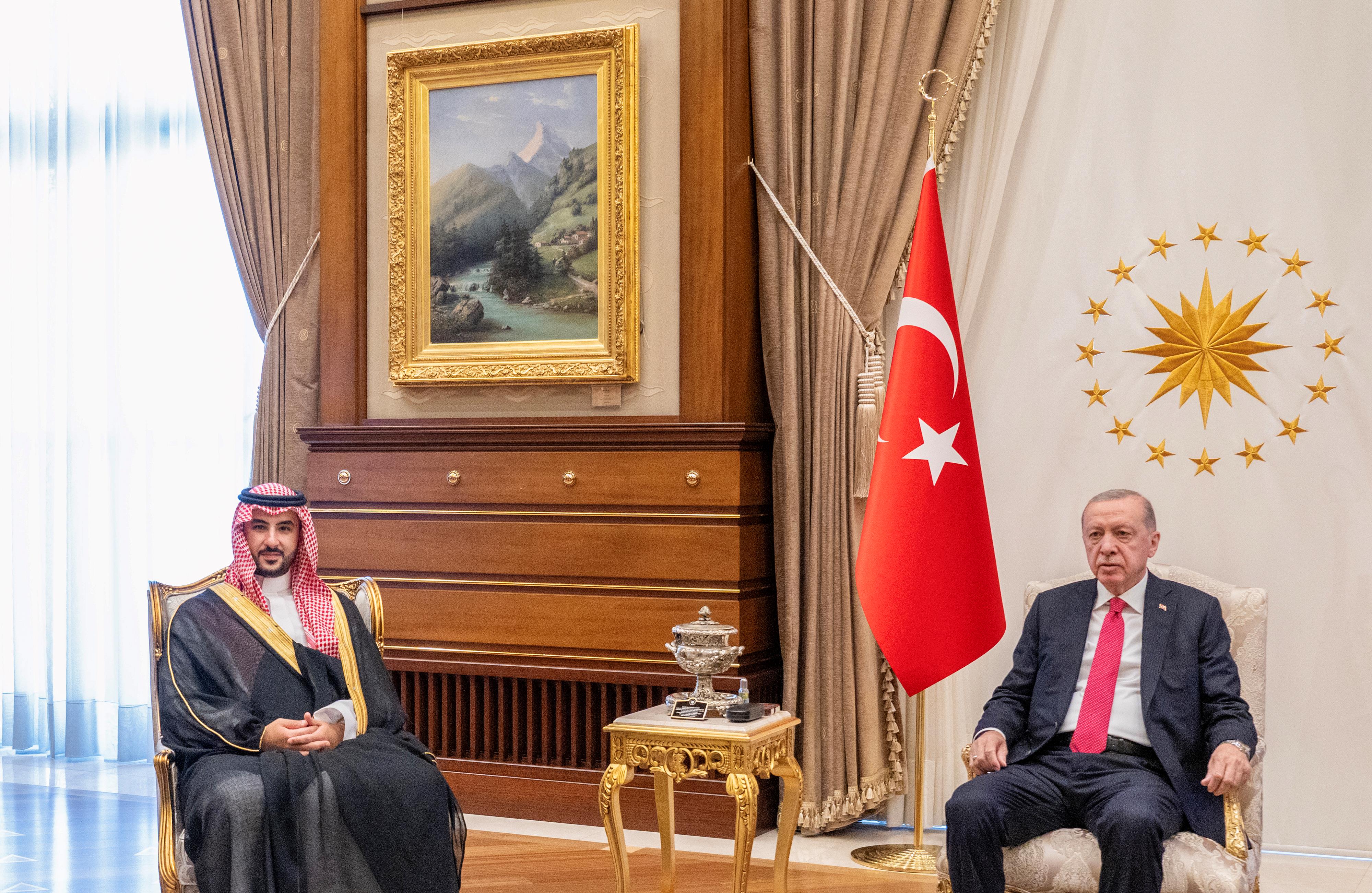 وزير الدفاع يلتقي رئيس تركيا