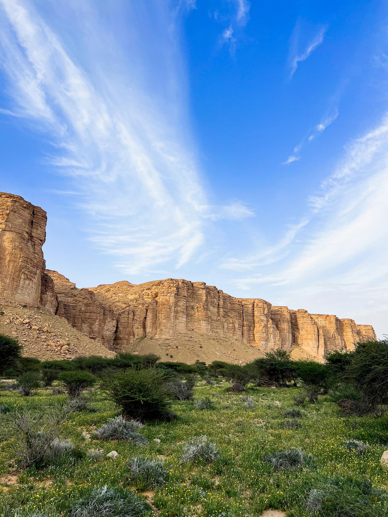 محمية الوعول تنضمّ للقائمة الخضراء الدولية كأول محمية سعودية