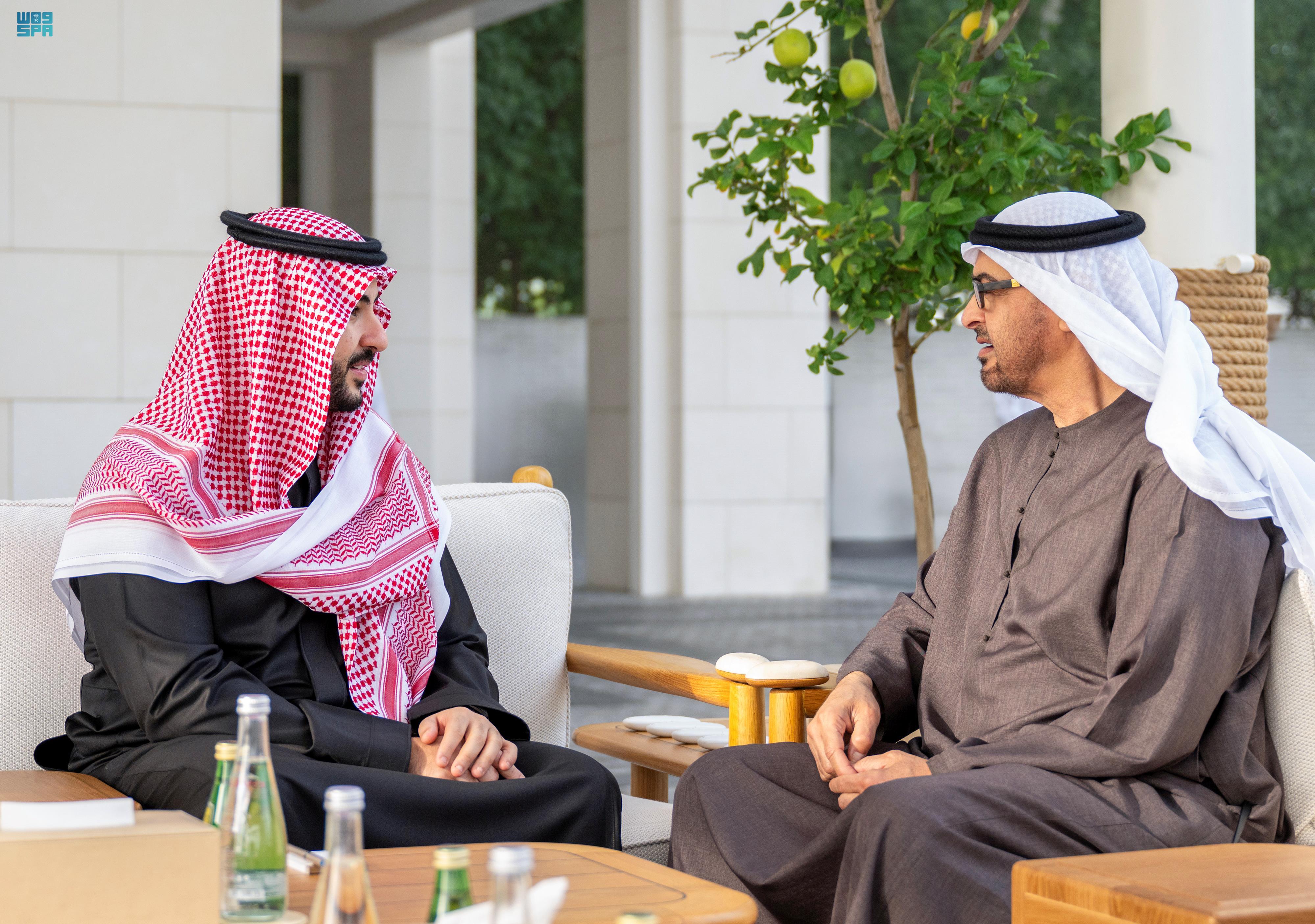 وزير الدفاع يلتقي رئيس دولة الإمارات العربية المتحدة