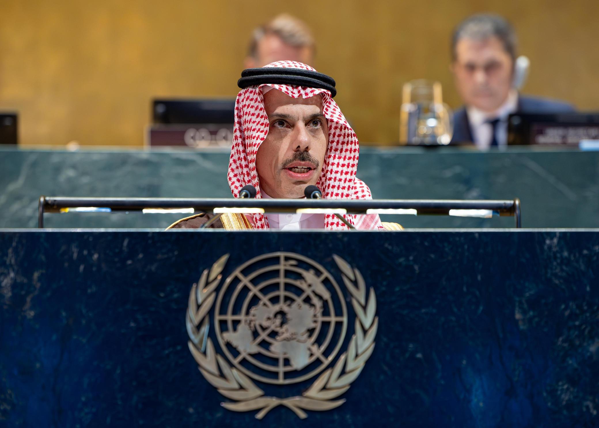 وزير الخارجية يترأس مؤتمر تنفيذ حل الدولتين
