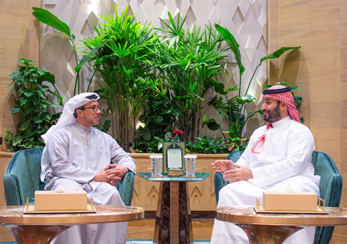 ولي العهد يلتقي الشيخ منصور بن زايد آل نهيان