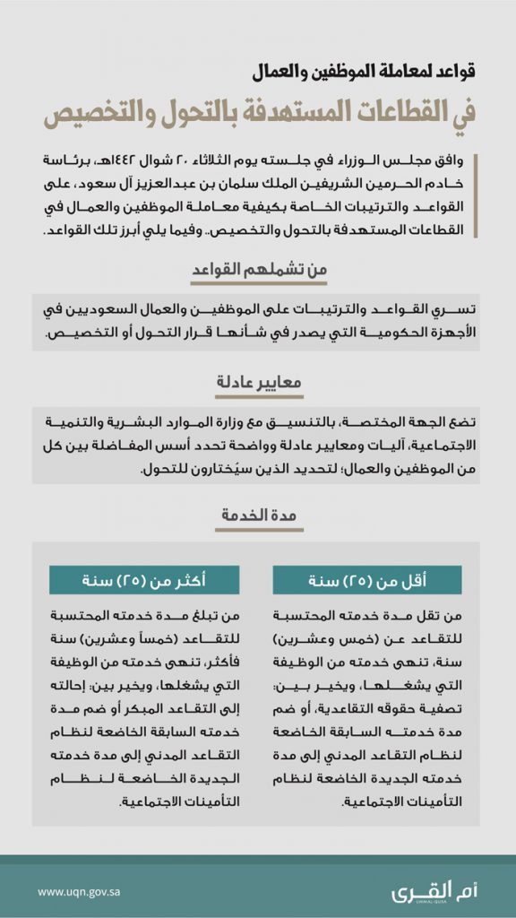 القواعد والترتيبات الخاصة بكيفية معاملة الموظفين والعمال في القطاعات المستهدفة بالتحول والتخصيص