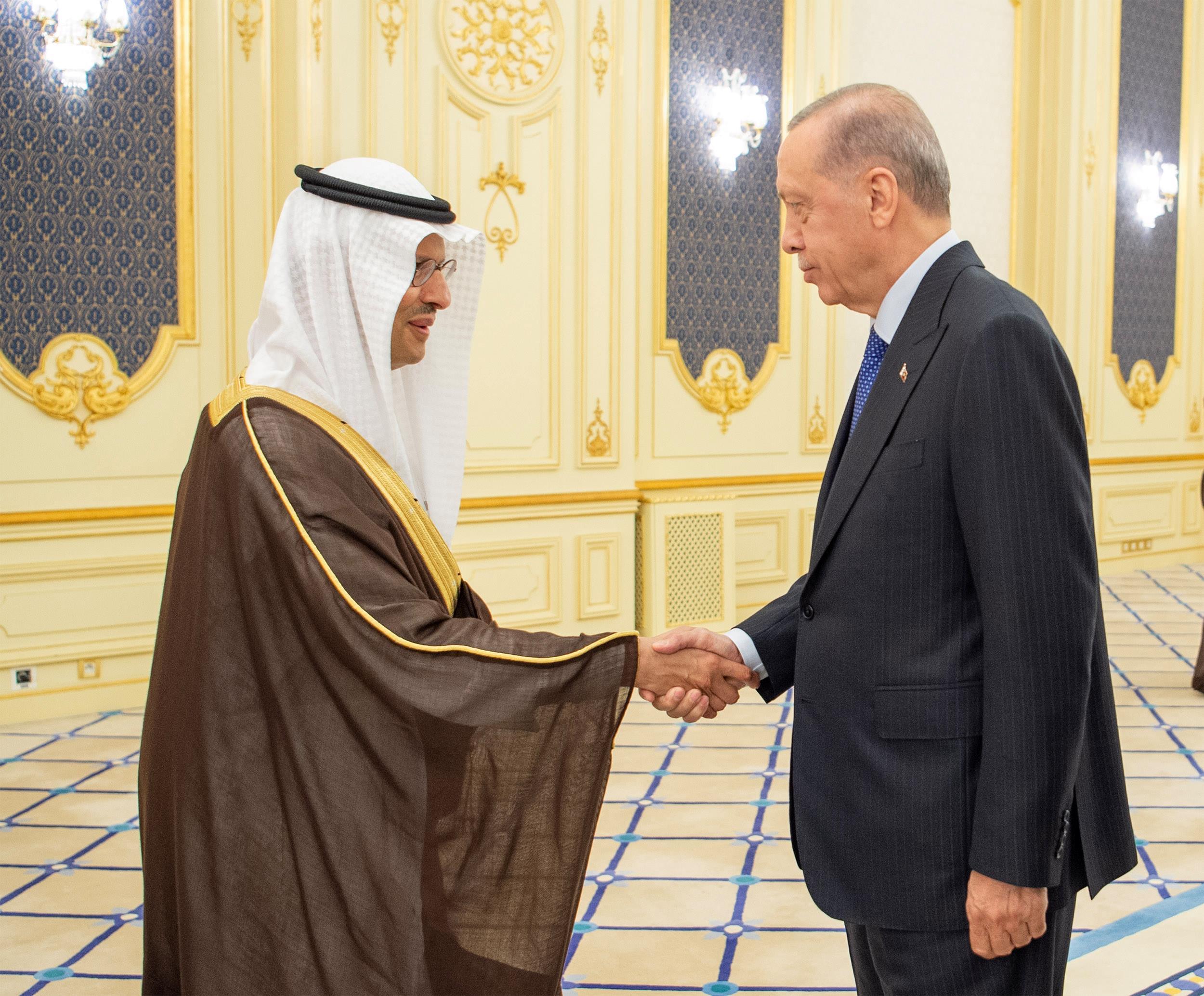 ولي العهد يستقبل الرئيس التركي ويعقدان جلسة مباحثات رسمية