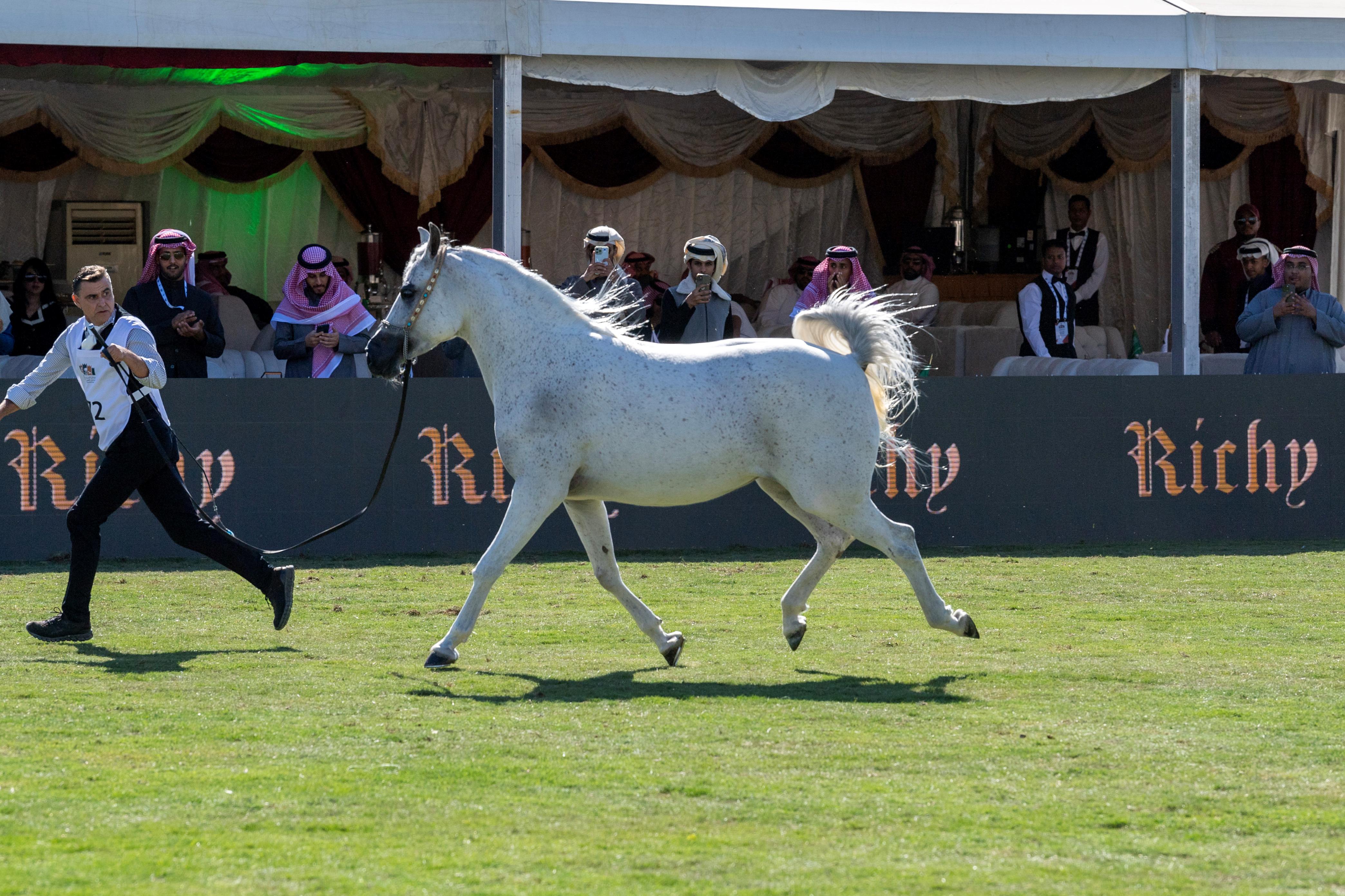 أمير منطقة الرياض يحضر الحفل الختامي للعرض الدولي السادس لجمال الخيل العربية الأصيلة