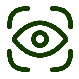 vision